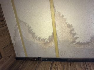 Eco-friendly mold remediation following water damage in Highland Park